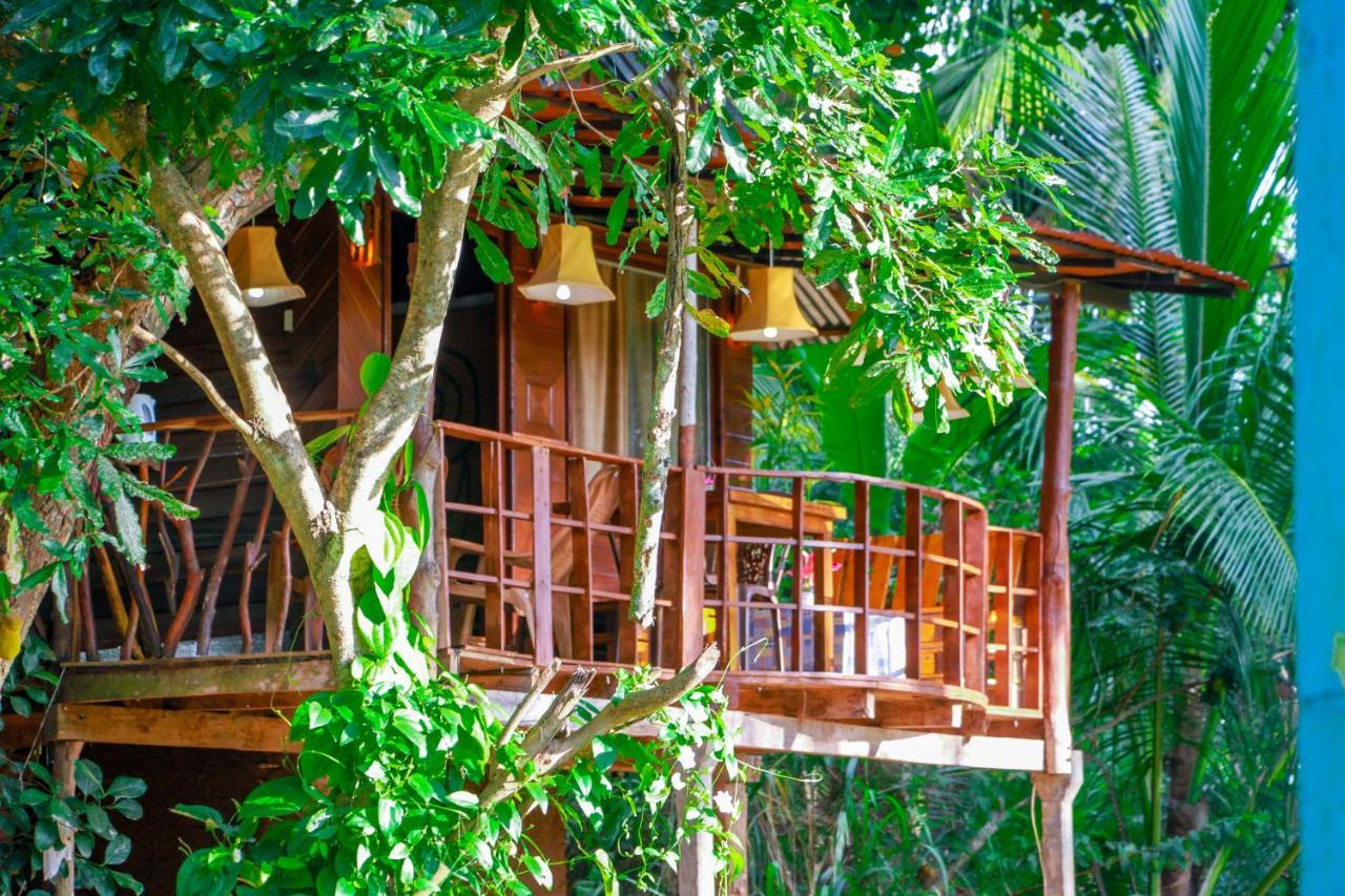 Experience The Comforts Of An Amazing Treehouse Σιγκιρίγια Εξωτερικό φωτογραφία