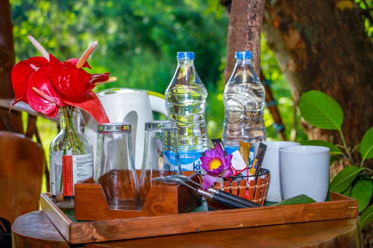 Experience The Comforts Of An Amazing Treehouse Σιγκιρίγια Εξωτερικό φωτογραφία